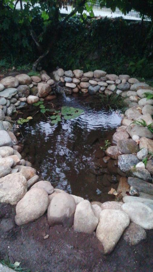 Willa Casa Do Adro-Passadicos Do Paiva Arouca Zewnętrze zdjęcie