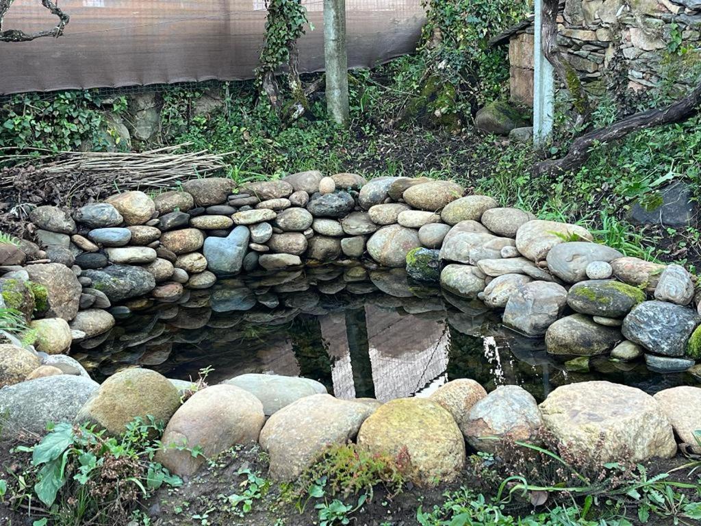 Willa Casa Do Adro-Passadicos Do Paiva Arouca Zewnętrze zdjęcie