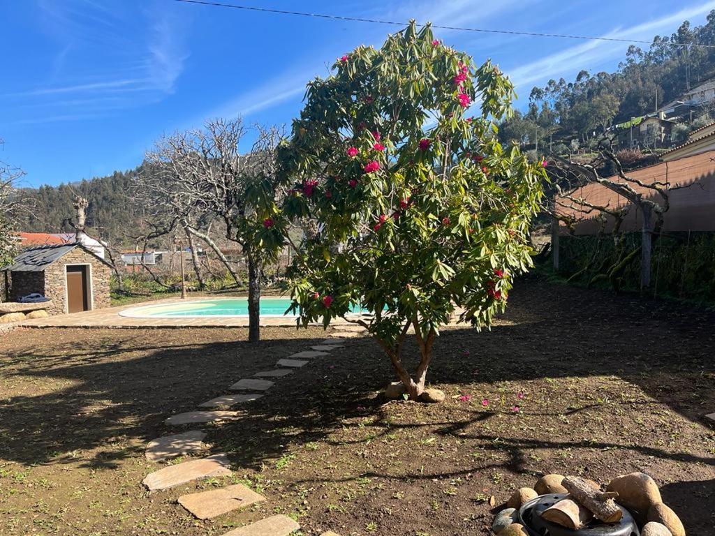 Willa Casa Do Adro-Passadicos Do Paiva Arouca Zewnętrze zdjęcie